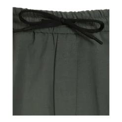 Basil Shorts