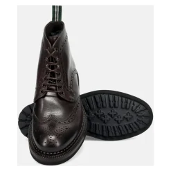 Borneo Moccasin