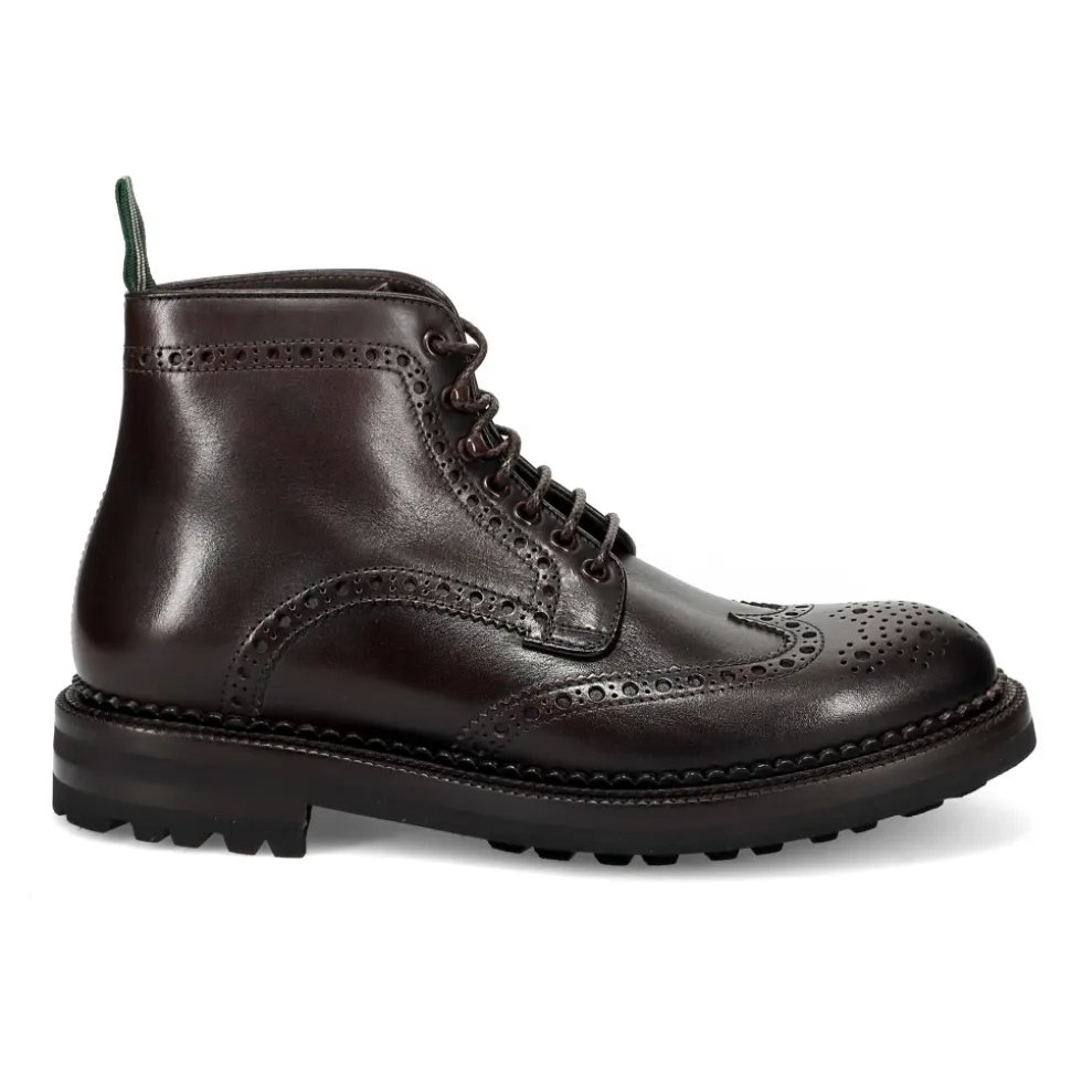 Borneo Moccasin