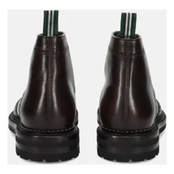 Borneo Moccasin