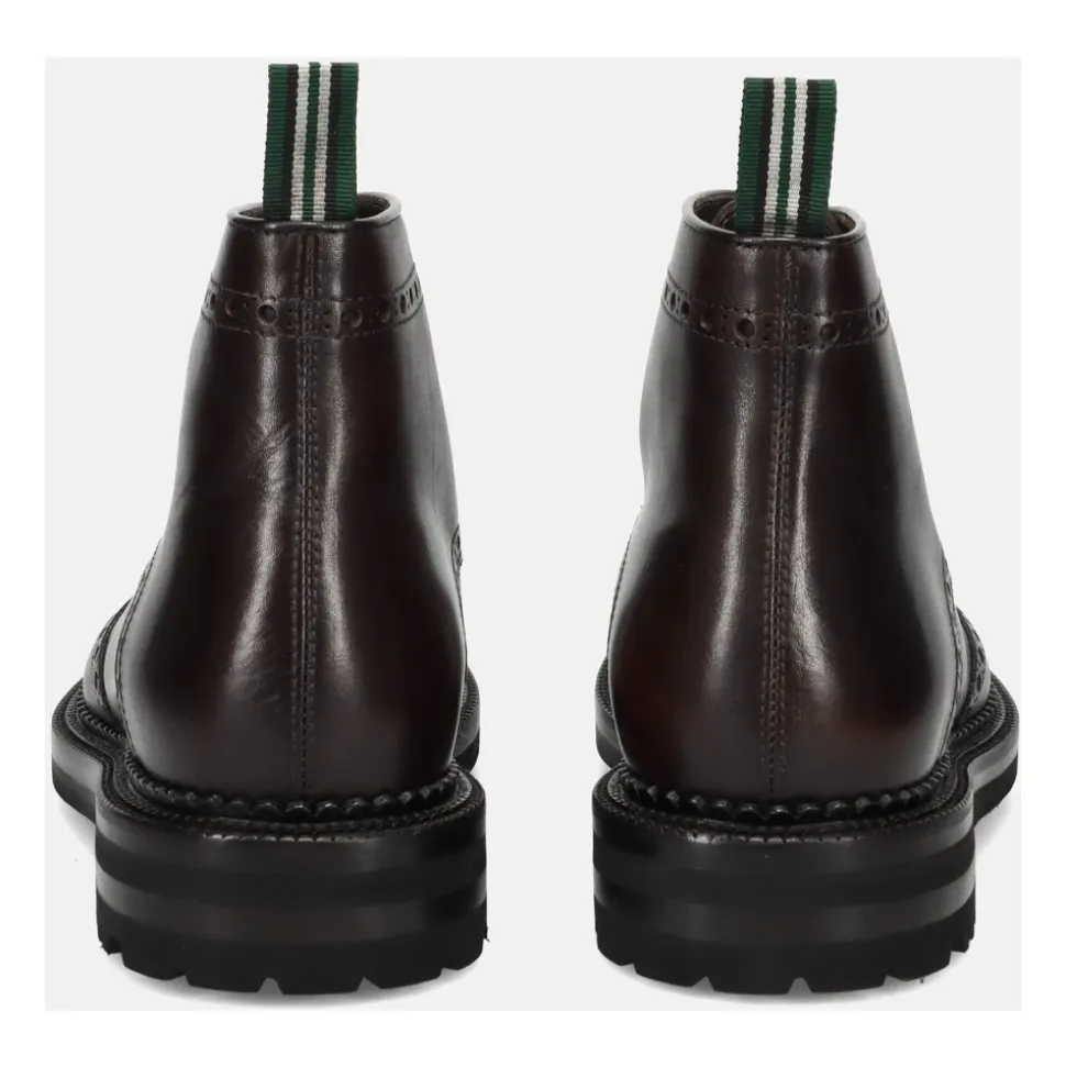 Borneo Moccasin