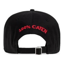 Cap with Visor