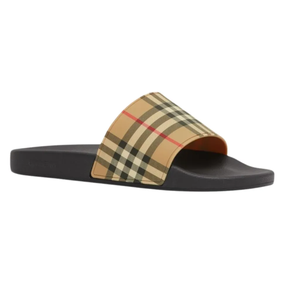 Check Slides