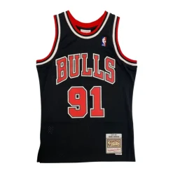 Chicago Bulls Rodman Swingman Jersey