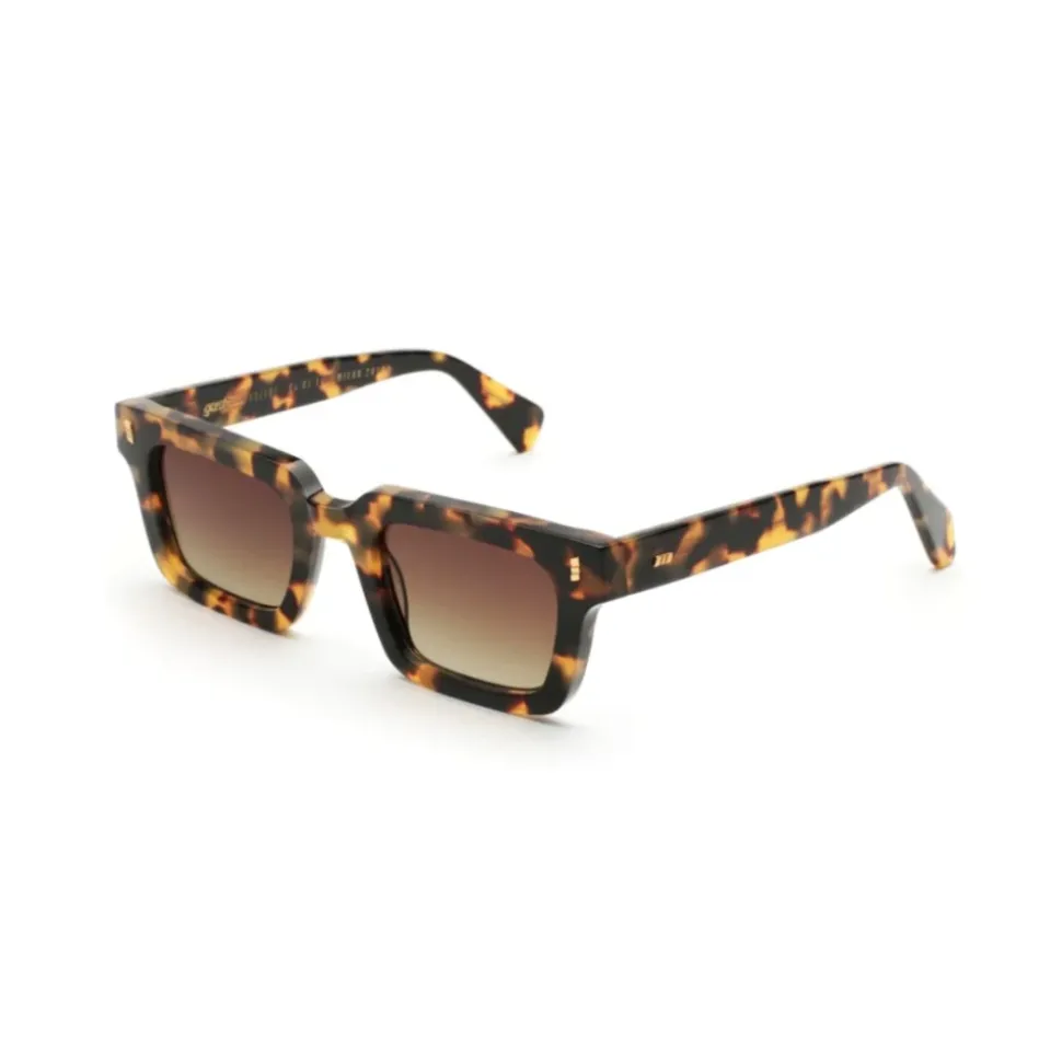 Classic Havana Sunglasses