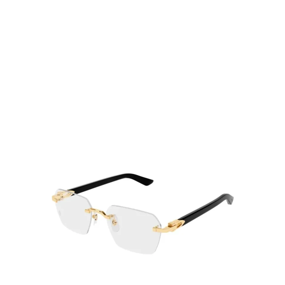 CT0623O Eyeglasses