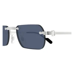 CT0499S 002 Sunglasses