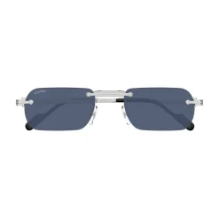 CT0499S 002 Sunglasses