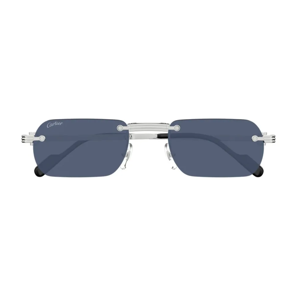 CT0499S 002 Sunglasses