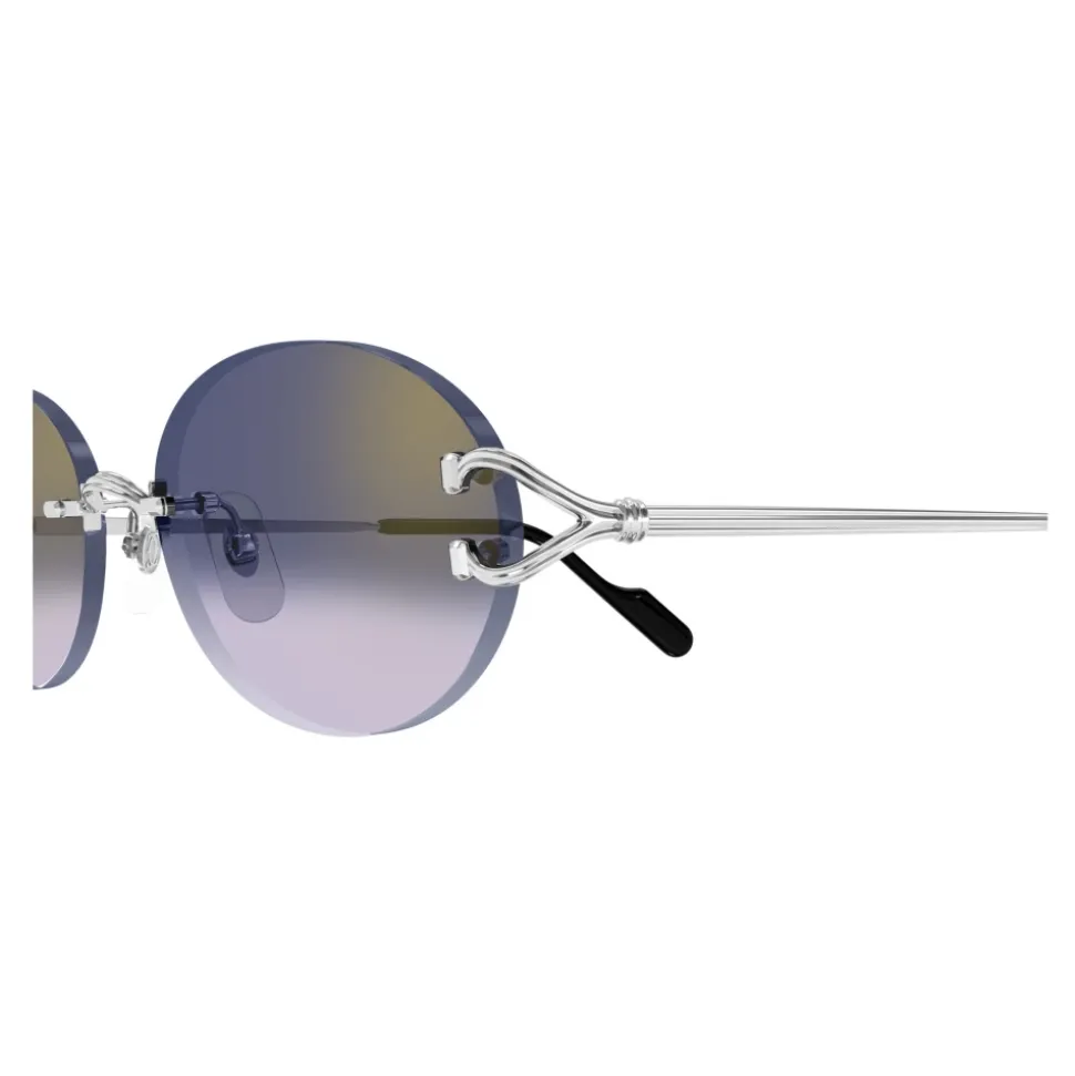 CT0551S 003 Sunglasses