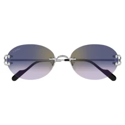 CT0551S 003 Sunglasses