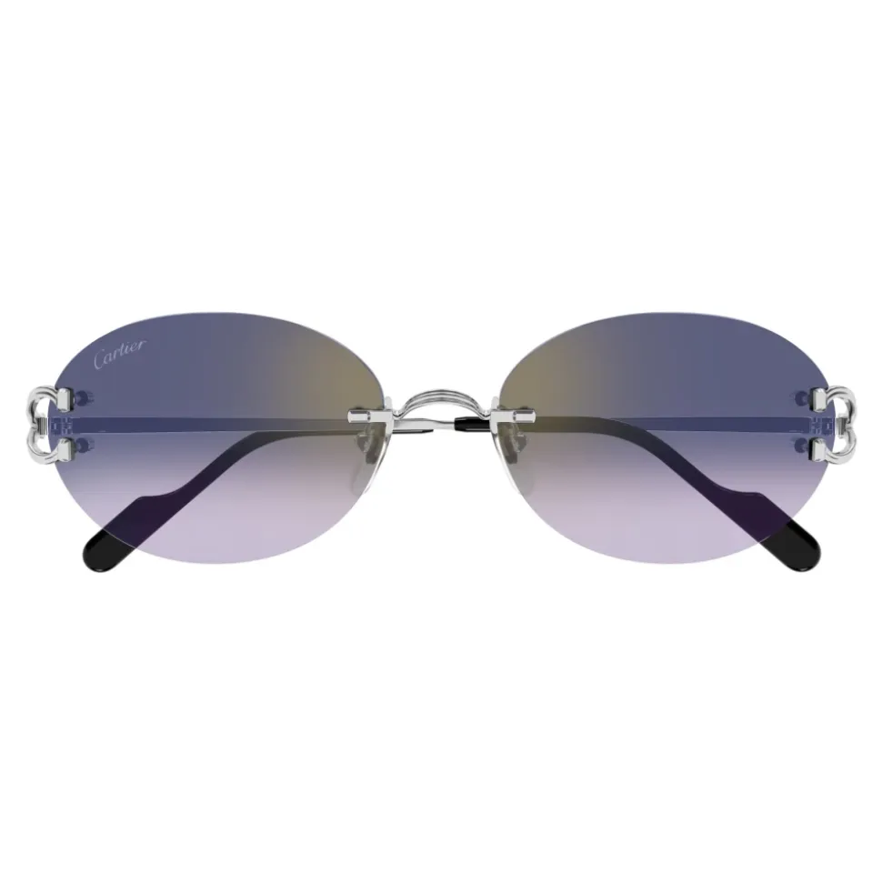 CT0551S 003 Sunglasses