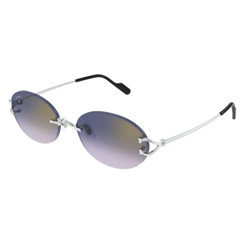 CT0551S 003 Sunglasses