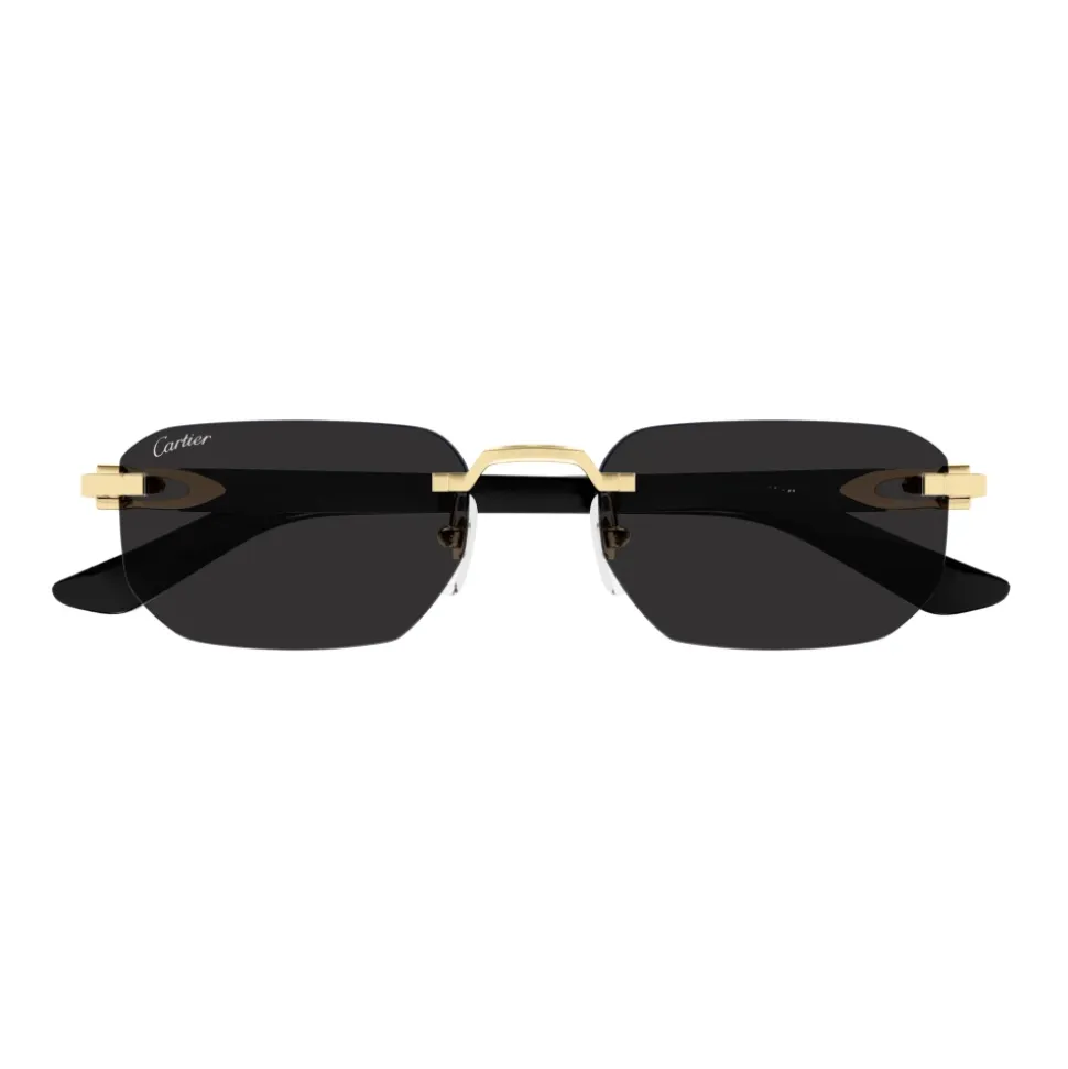 CT0622S Sunglasses