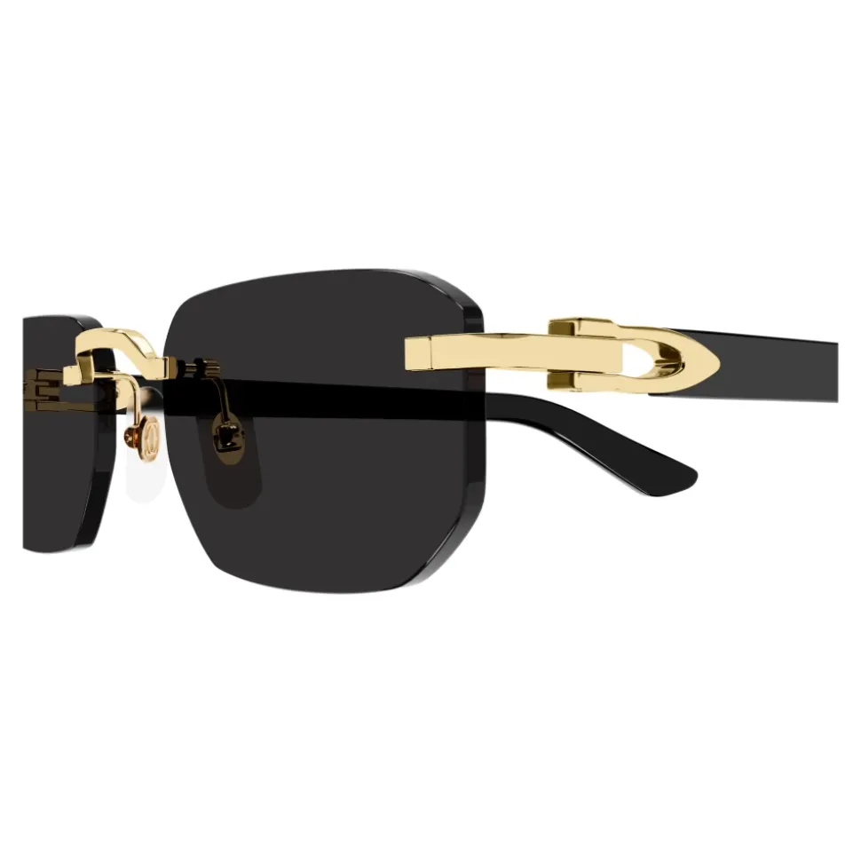 CT0622S Sunglasses