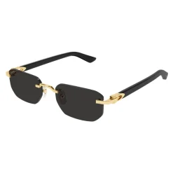 CT0622S Sunglasses