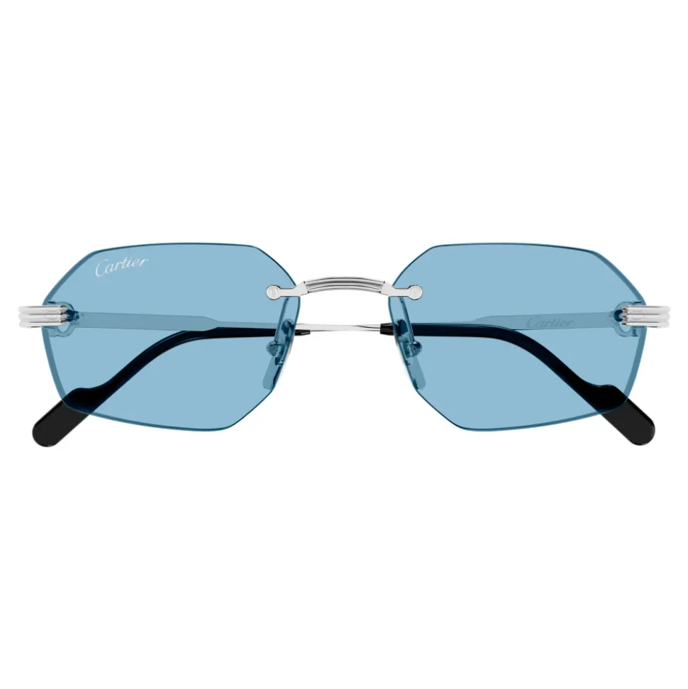 CT0616S Sunglasses