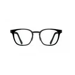 Dayton Optical Frame