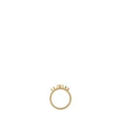 Elegant Gold 925 Silver Ring