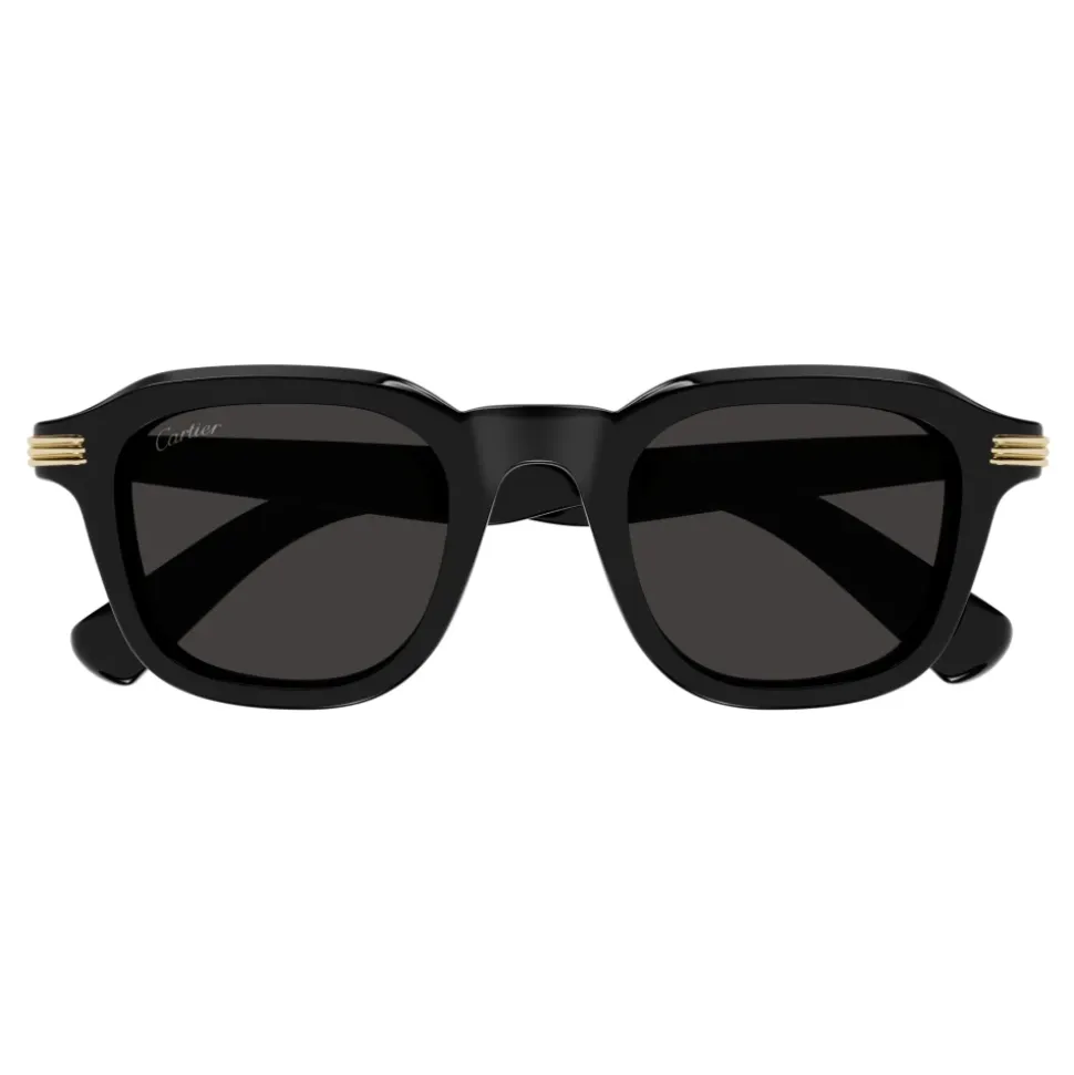 Elegant Sunglasses with Metal Detail