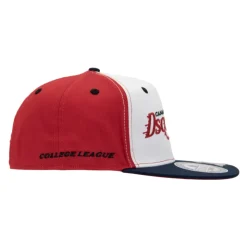 Embroidered Baseball Cap with Silicone Detail
