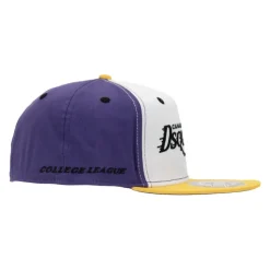 Embroidered Baseball Cap with Silicone Detail