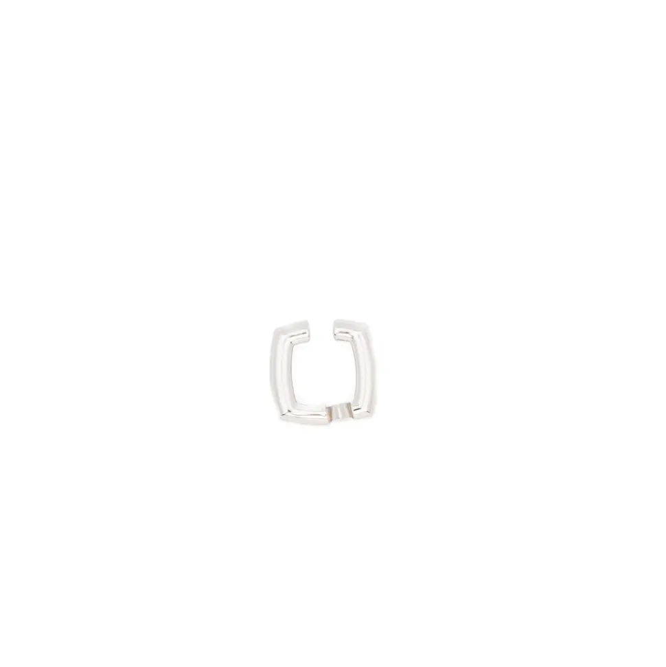 101540 Frame Ear