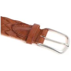 Fraser Belt