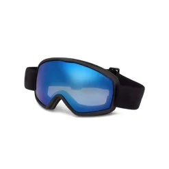 FT1321 01X Ski Goggles
