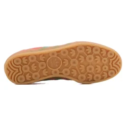 Gazelle Indoor