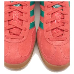 Gazelle Indoor