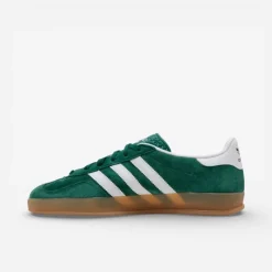 Gazelle Indoor