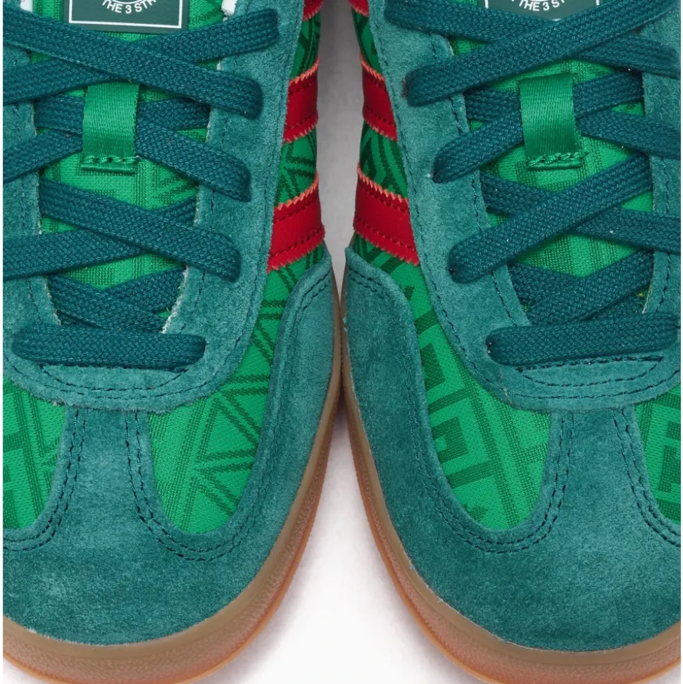Gazelle Indoor Mexico