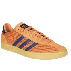 Gazelle Indoor Pro