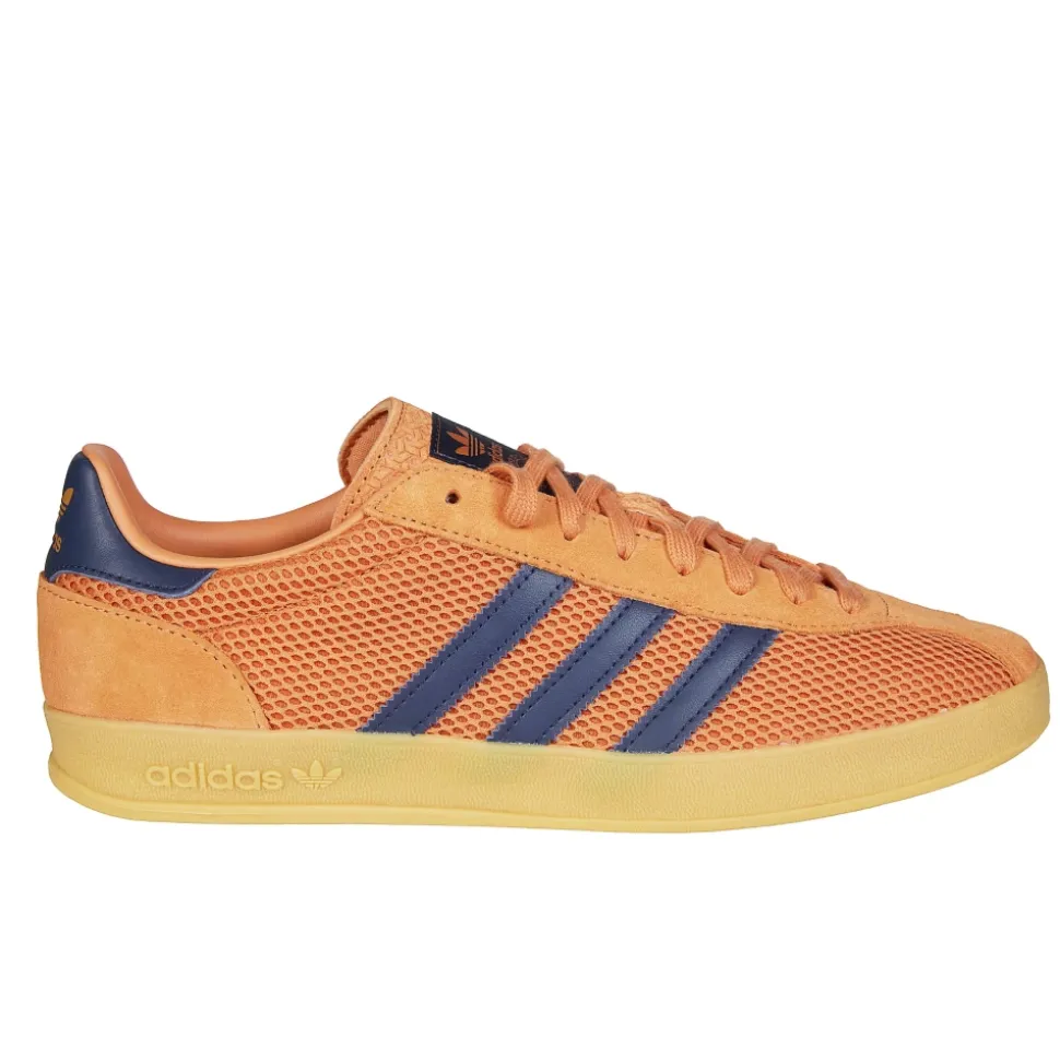 Gazelle Indoor Pro