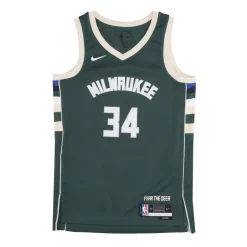 Giannis Antetokounmpo NBA Icon Edition Jersey