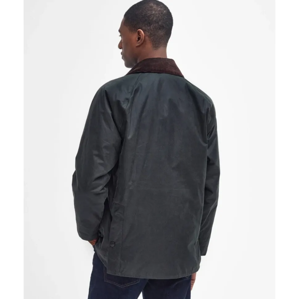 Giubbino 100% Cotone Cerato