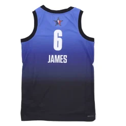LeBron James All Star Basketball Tank
