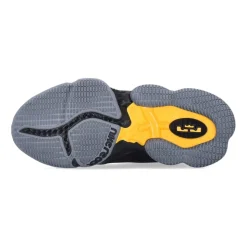 LeBron XIX Low Basketball Shoes
