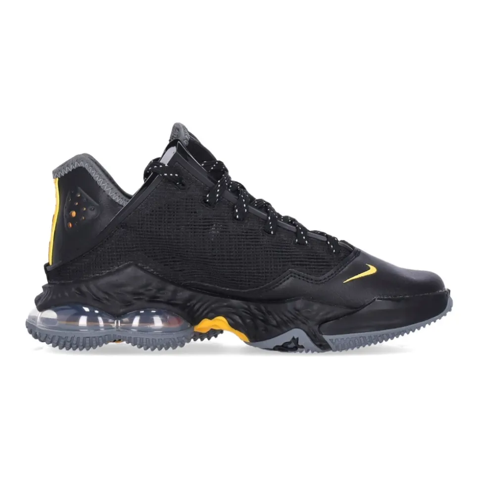 LeBron XIX Low Basketball Shoes