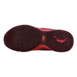 Lebron XX Basketball Shoe