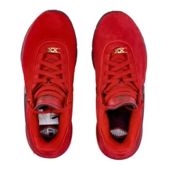 Lebron XX Basketball Shoe
