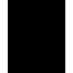 Logo Beanie Hat