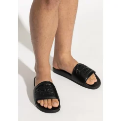 Logo Slides