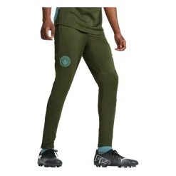 Manchester City Training Jacket 2024/2025 Green
