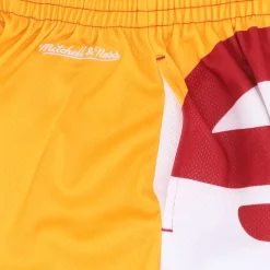 NBA Big Face Fashion Training Shorts