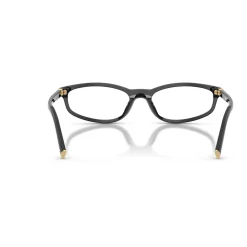Optical Frame