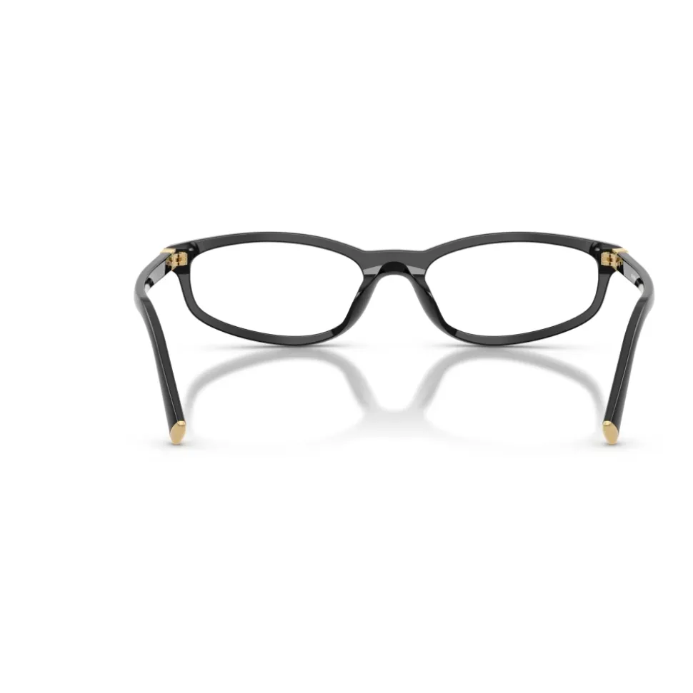 Optical Frame