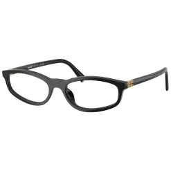 Optical Frame