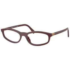 Optical Frame